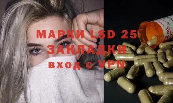 ПСИЛОЦИБИНОВЫЕ ГРИБЫ Арсеньев