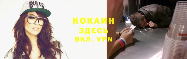 ПСИЛОЦИБИНОВЫЕ ГРИБЫ Арсеньев