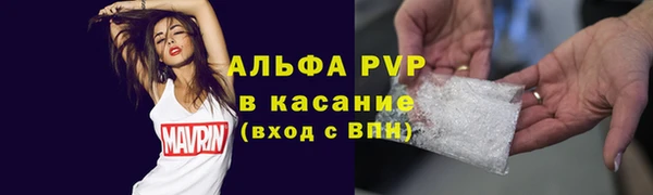 сатива Армянск