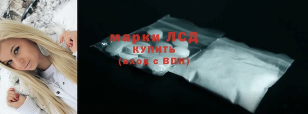 сатива Армянск