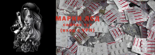 сатива Армянск