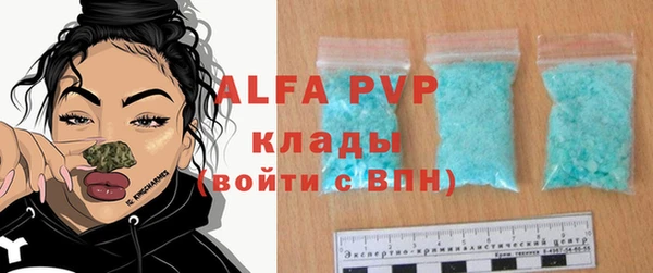 сатива Армянск