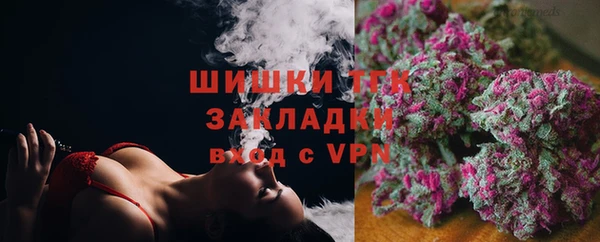 ПСИЛОЦИБИНОВЫЕ ГРИБЫ Арсеньев